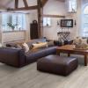 Kronotex Ламинат Exquisit Plus D3673 Дуб Бергамо фото 2 в интерьере
